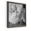 Renoncule foncé II - cadre photo-997338826-997390543-997390534