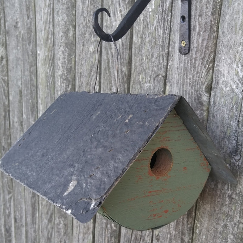 Bird in Hand Bucks County 8 in x 9 in x 8 in Birdhouse