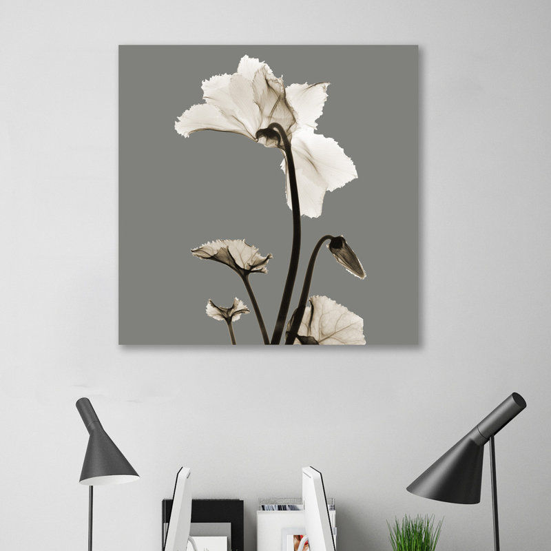 «Gray Luster Cyclamen», reproduction d'impression sur toile, H 24 po x l 24 po