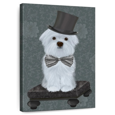 Brampt Maltese With Top Hat
