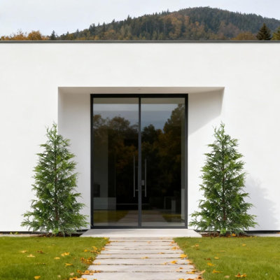 Plant