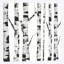 « white bouleau », impression sur toile-31289165-73198566-73198571