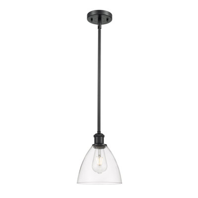 1 - Light Single Drop Pendant Pendant