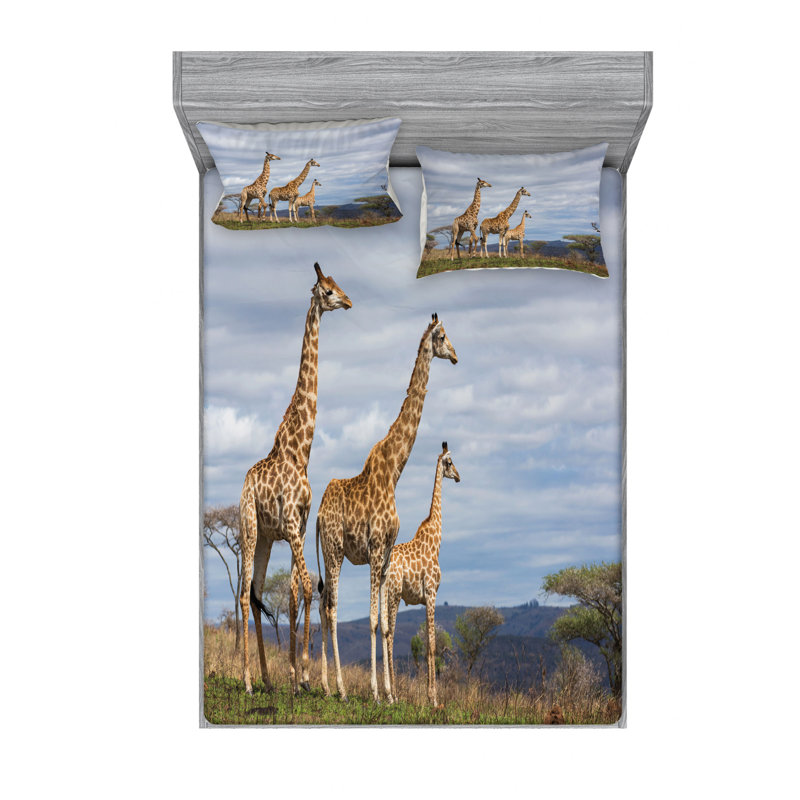 Microfiber Sheet Set