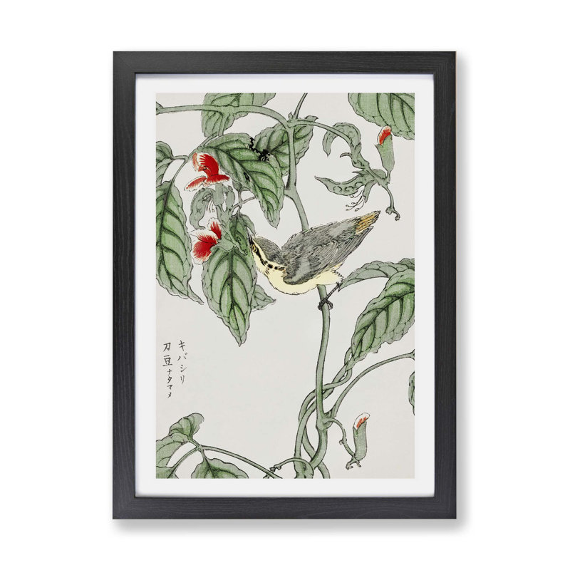Japanese Tree-Creeper Bird by Numata Kashu - Framed Print, Black, 24cm H x 33cm W x 2cm D