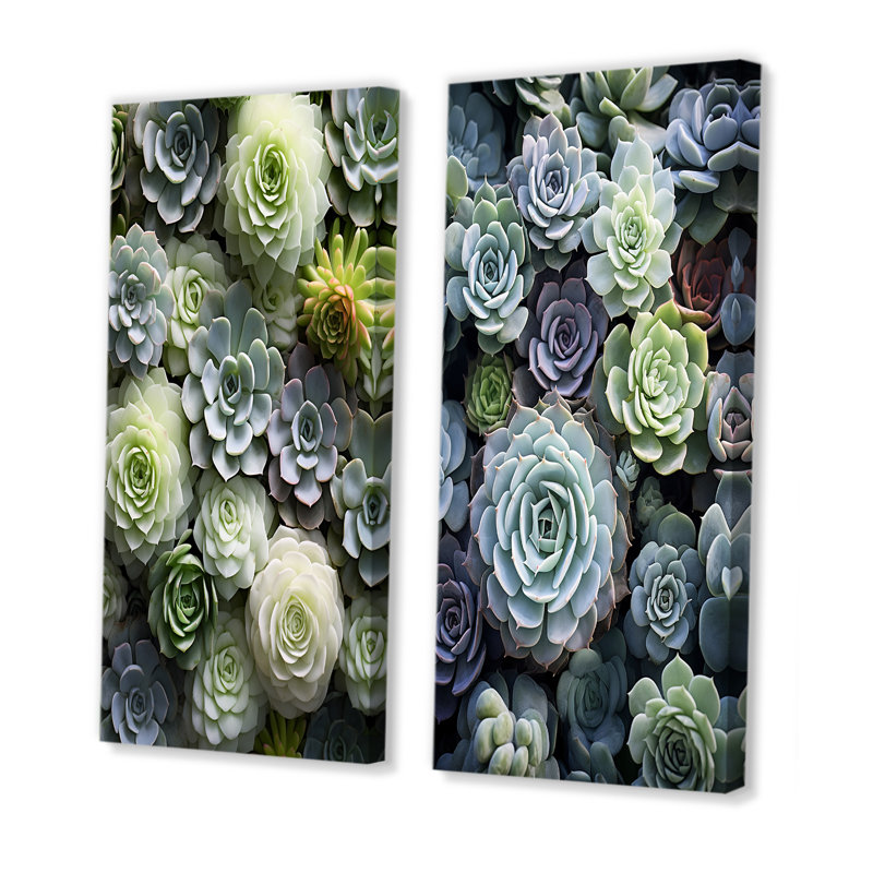 «Green Succulents Flowers Serene Succulents», 2 pièces, Toile tendue, H 24 po x l 20 po