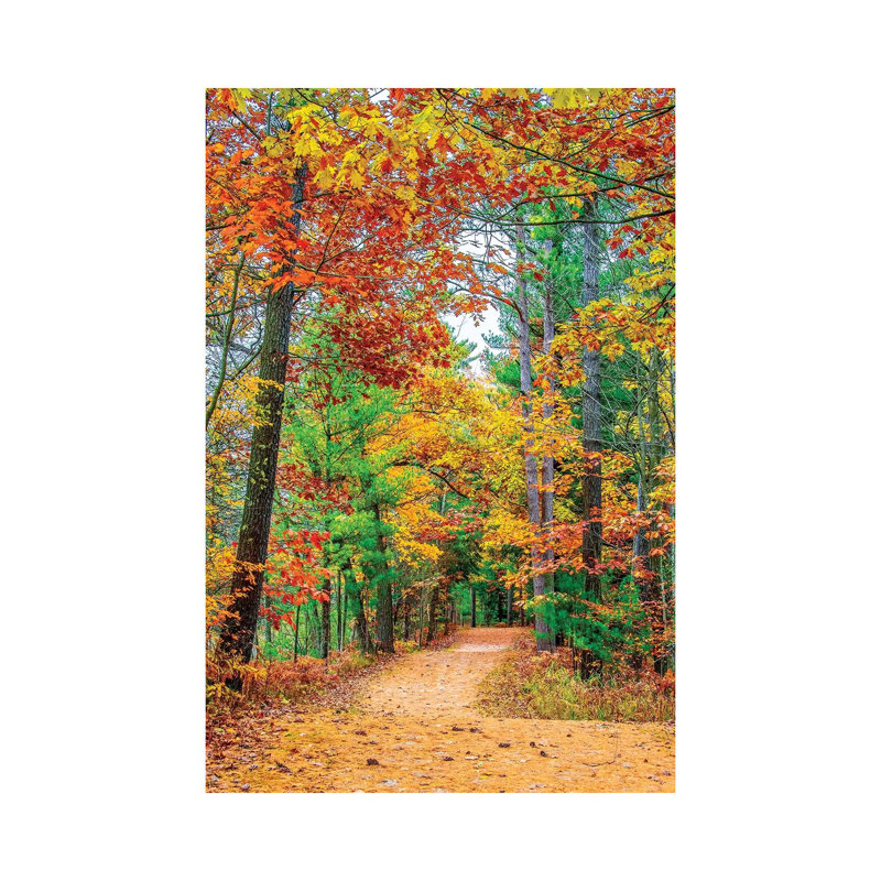 Road To Forest by Nejdet Duzen - Print on Canvas, Wrapped Canvas, 30.48 cm H x 45.72 cm W