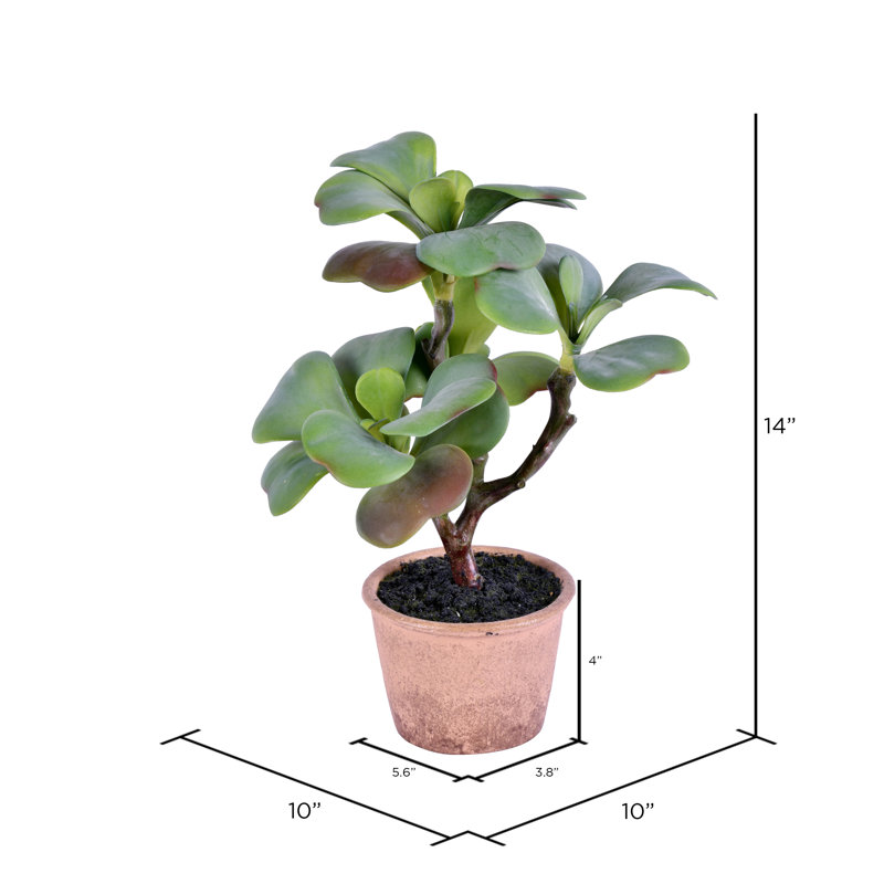 Plante grasse artificielle en pot