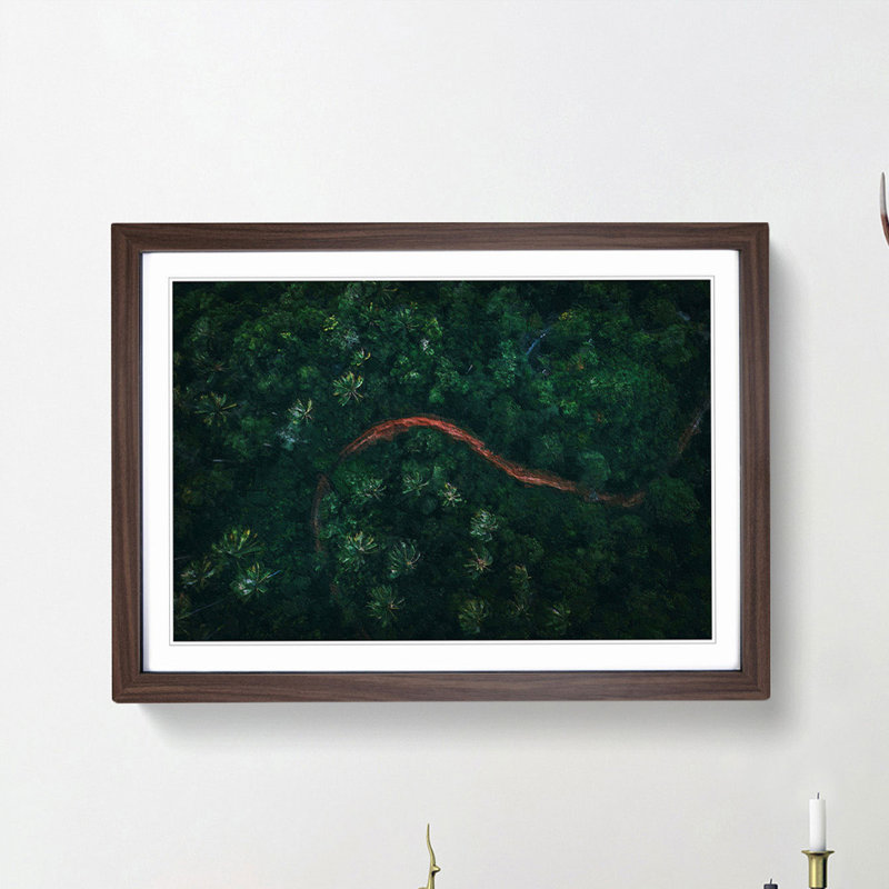 Path Through a Forest in Ko Samui Thailand - Framed Print, 48cm H x 65cm W x 2cm D, Walnut Framed