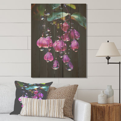 Pink Garden Hummingbird Fuchsia Flower III - Fuschia On Wood Print