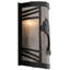 Happy Bear On The Loose 1 - Light Flush Mounted Sconce