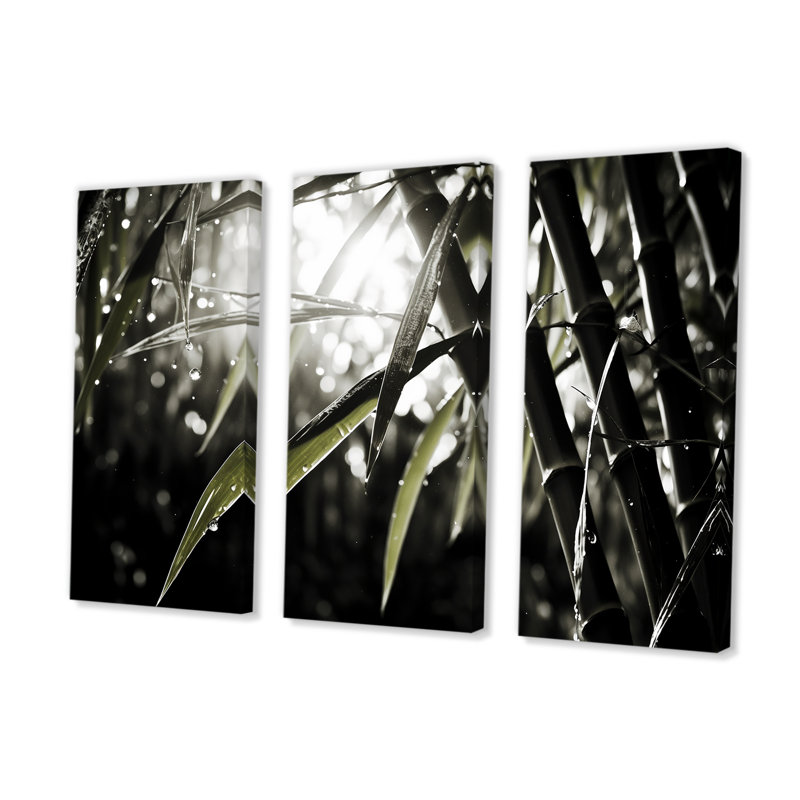 Ensemble de photos murales en bambou noir et blanc, Toile tendue, H 32 po x l 48 po x P 1 po