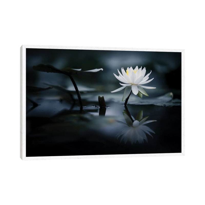 Reflection by Takashi Suzuki - Print on Canvas, White Framed, 66.04 cm H x 45.72 cm W