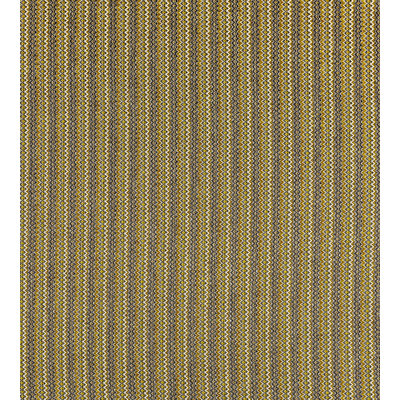 Rhapsody Carvalhal Fabric