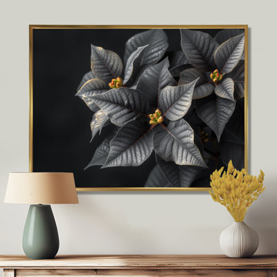 Poinsettias monochromes gris luxueux - Décoration murale poinsettias