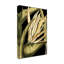« tranquil tropical leaves iii », reproduction d’impression sur toile tendue-33418328