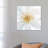 Contemporary Clematis Gray by Danhui Nai - Wrapped Canvas Gallery-Wrapped Canvas Giclée-688753443
