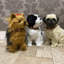 Connlyn Animals Figurines & Sculptures
