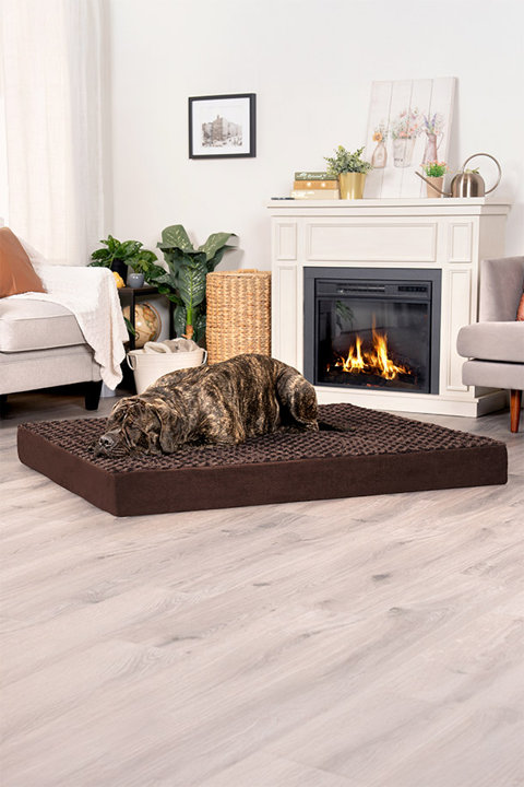 Pet Beds