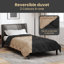 Bedding-1817851859