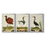 Heron Portrait IV - Toile tendue avec châssis sur mesure - 3 pièces-400766804-400766793
