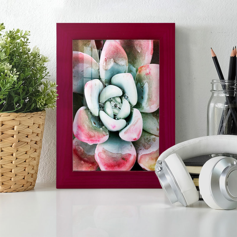 Pastel Succulent Beauty V, reproduction d'art sur papier, Rouge, H 6 po x l 4 po x P 1 po