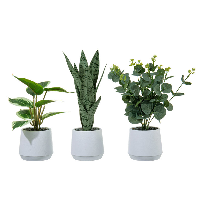 3 pièces artificielles d'eucalyptus artificiels