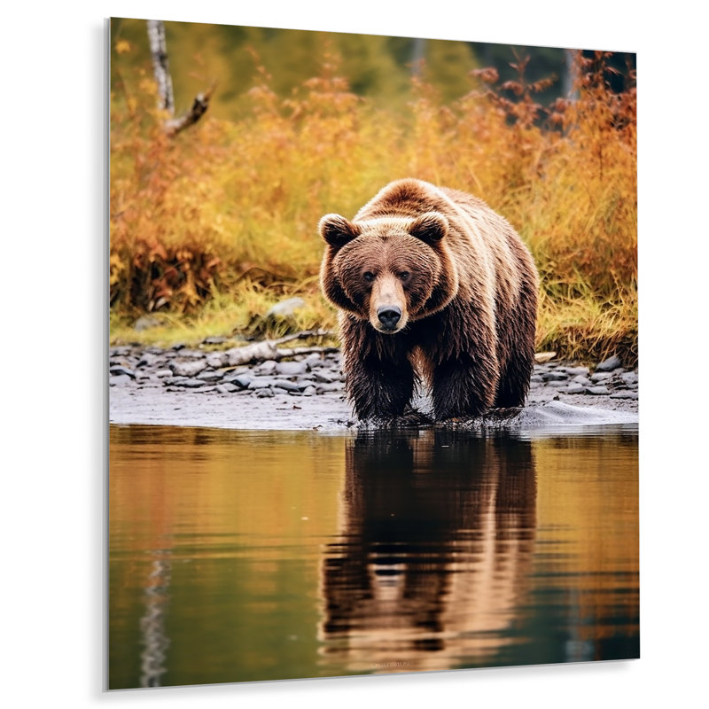 «Grizzly Bear in Alaska Scenery III» - Décoration murale en métal, H 32 po x l 24 po x P 1 po