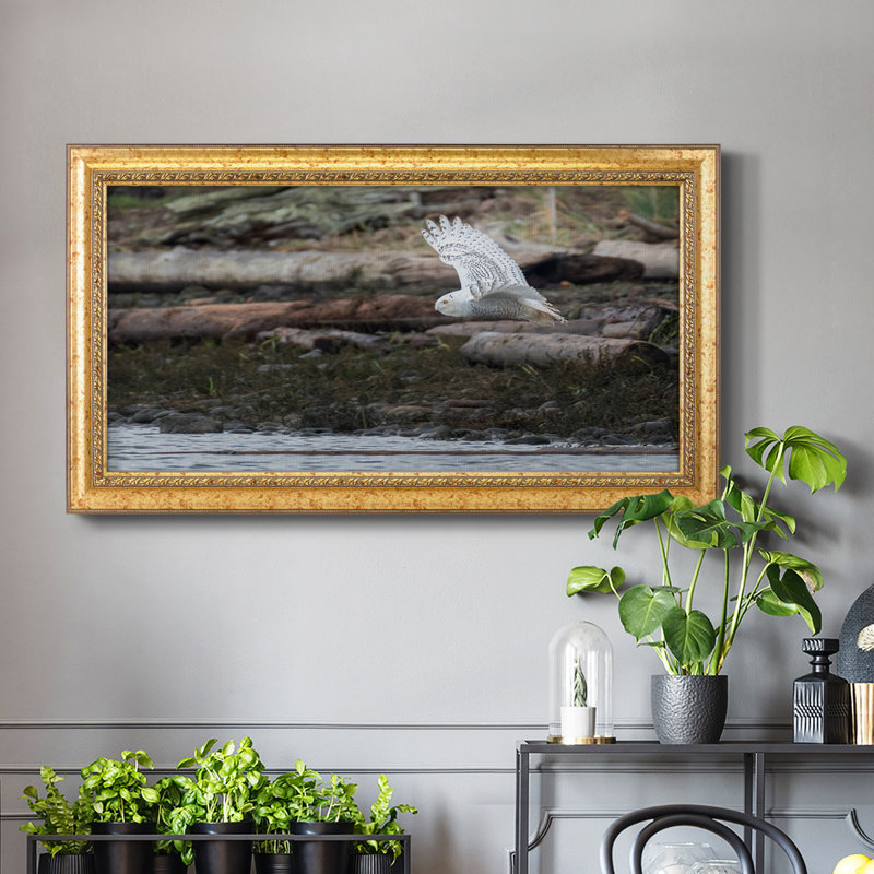 Solo Flight - Reproduction de photo sur toile, H 21 po x l 37 po x P 2,5 po