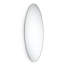 Speci Wall Mirror-71300679