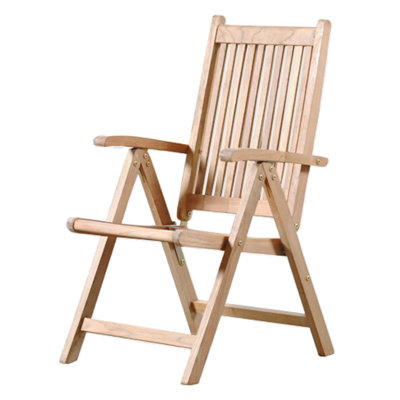 Fidelia Foldable Outdoor Patio Dining Armchair with Cushion