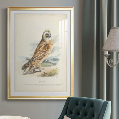Hawk Owl - reproduction de cadre photo