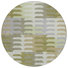 Fern