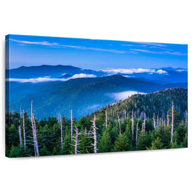 Paysage Alvord Great Smoky Mountain, H 16 po x l 24 po