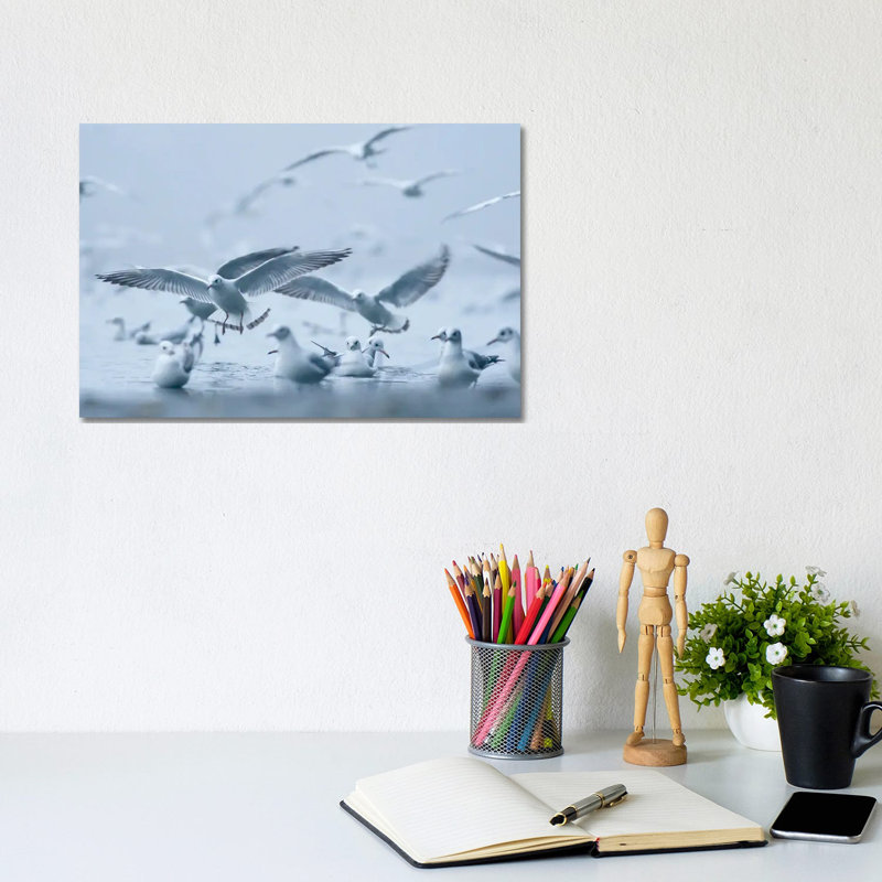 Gulls In The Fog by Mateusz Piesiak - Wrapped Canvas Print, 20.32 cm H x 30.48 cm W