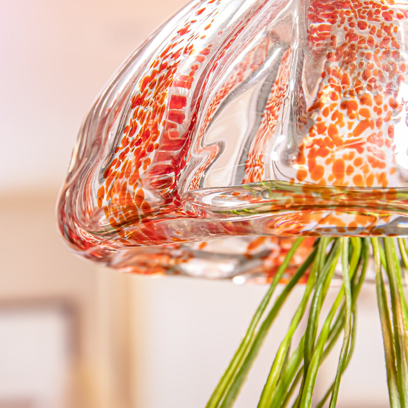 Terrarium en verre