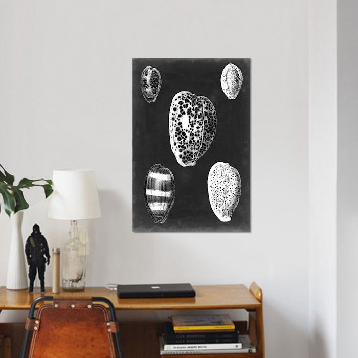 «Alabaster Shells VI» par Vision Studio - reproduction d'art sur toile tendue, H 40 po x l 26 po x P 1,5 po, Toile tendue