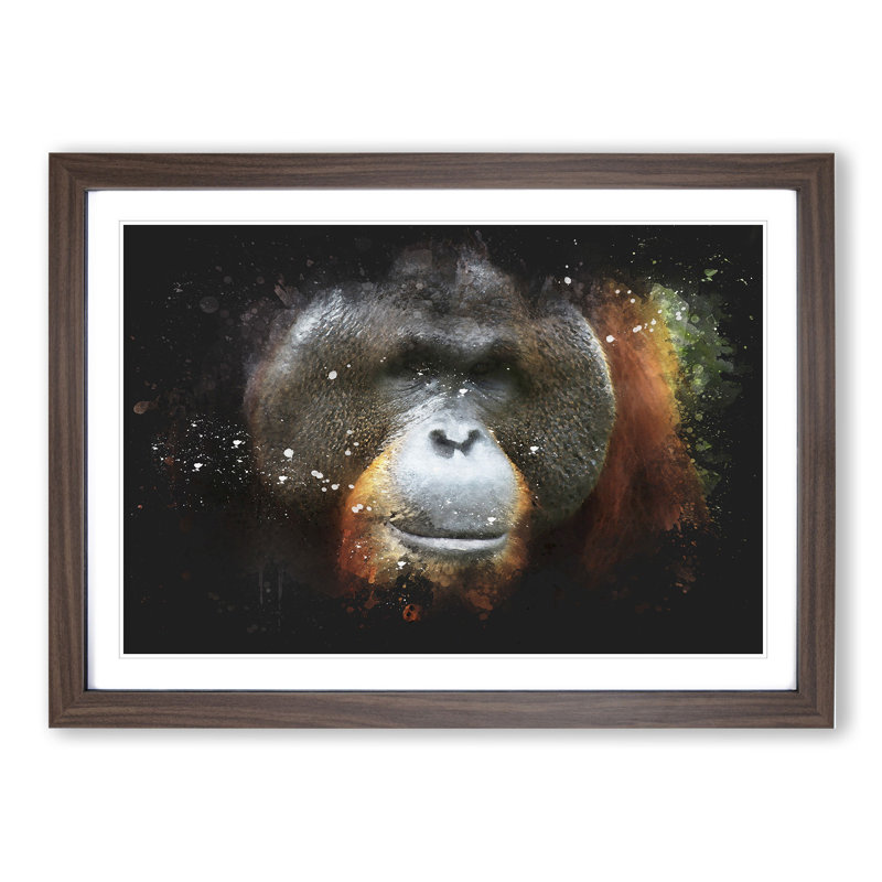 Orangutan Monkey Vol.1 - Picture Frame Painting, Walnut Framed, 48cm H x 65cm W x 2cm D