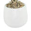 Yucca en pot de Fiberstone