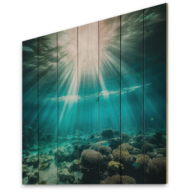 Corail sous l'eau V, H 15 po x l 15 po x P 0,78 po
