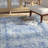Dorothea Oriental Indoor Rug-1572174513