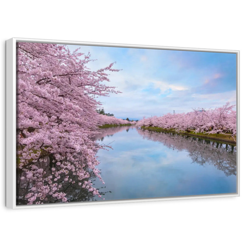 Fleur de cerisier en pleine floraison, Cadre flottant blanc, 13 po x 9 po