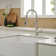 Pull Down Single Handle Kitchen Faucet with Accessories