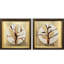 Golden Solstice II Canvas
