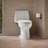 Santa Rosa One-Piece Compact Elongated 1.6 Gpf Toilet With Revolution 360 Swirl Flushing Technology-88262240