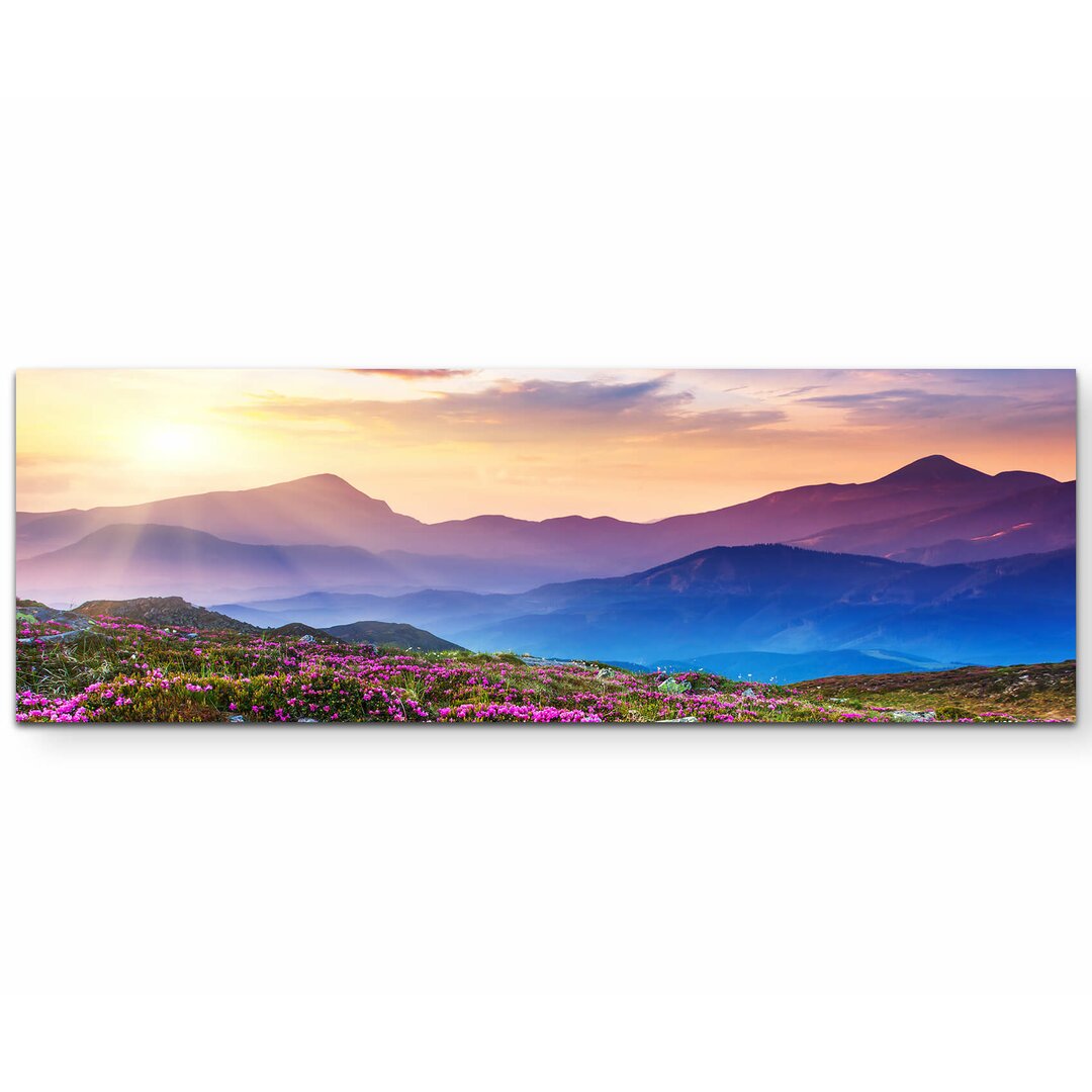 Leinwandbild Pinke Rhododendren in den Karpaten