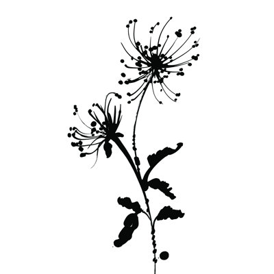 Silhouette florale IV