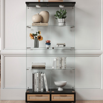 2 - Door 4 Shelf Storage Case, Modern Glass Display, Black And Natural, Quick Assembly, 13 Colour Led Lighting, Space Saving For Bedroom Saving,