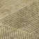 Premium Machine Washable Prisco Wheat Rug