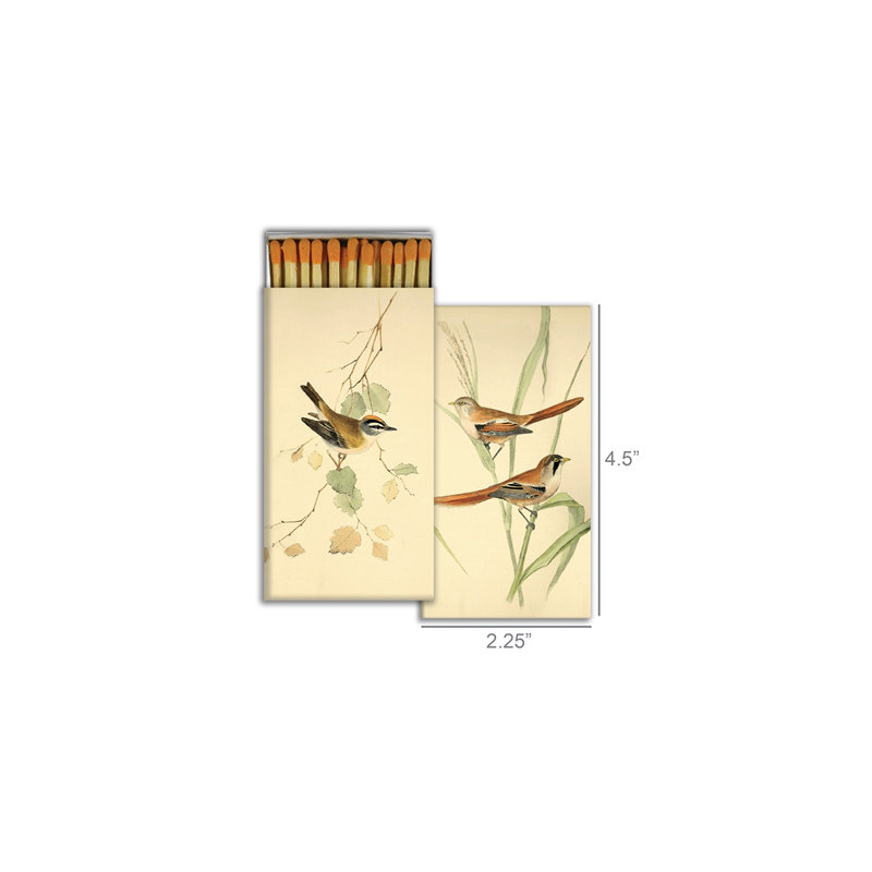Allumettes - oiseaux anglais